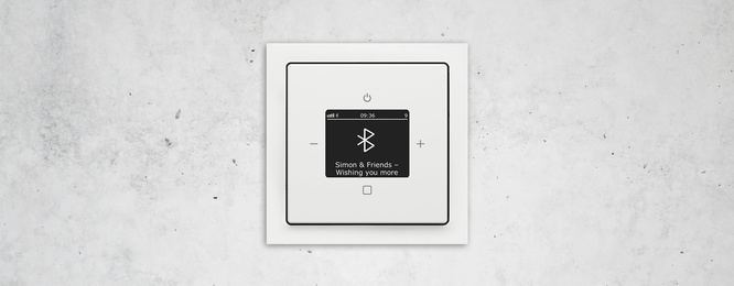 Busch-Radio Btconnect bei GFM Elektrotechnik in Groß-Zimmern
